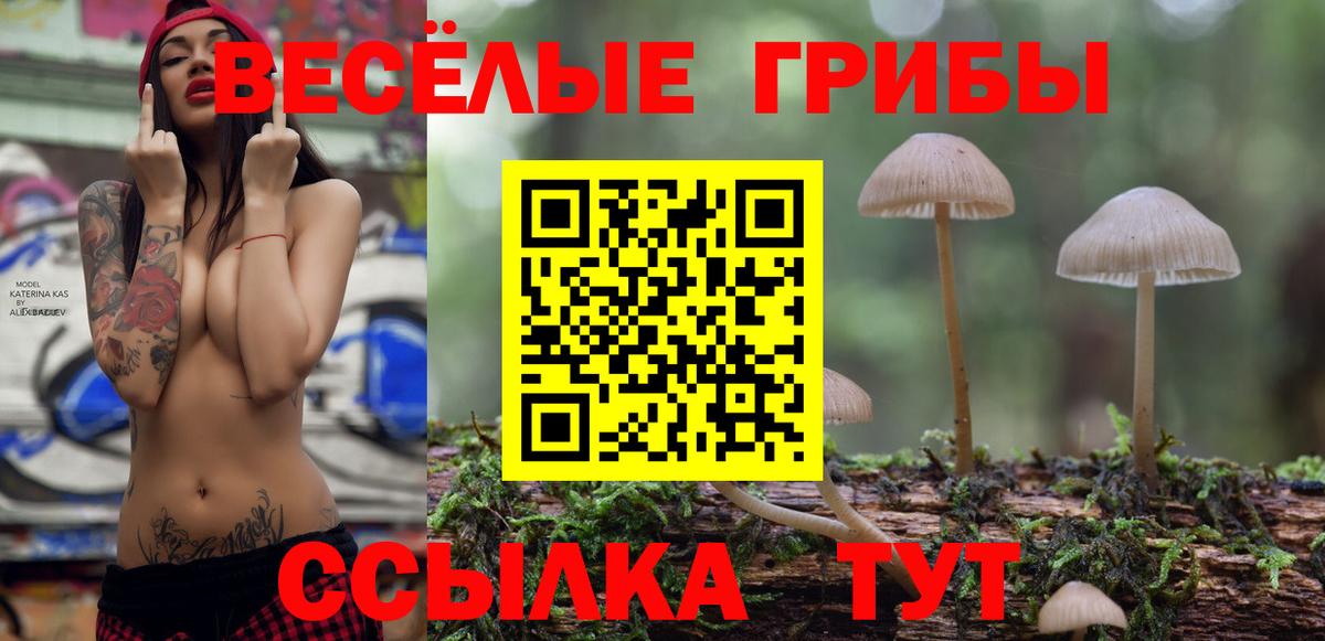 Псилоцибиновые грибы Psilocybine cubensis  Вход с VPN  Липецк 